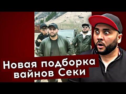 Видео: Новая подборка вайнов Секи | каштанов реакция