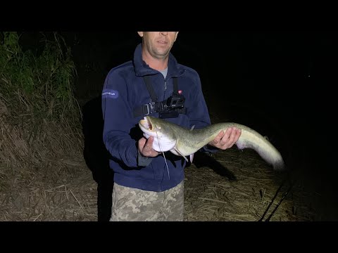 Видео: Глубокий…Как-то так 12/13.08.21