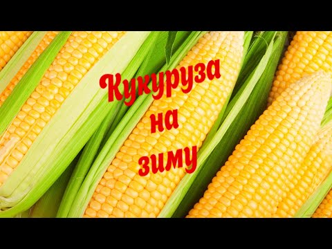 Видео: Кукурузу зимой НЕ ПОКУПАЕМ! Кукуруза на зиму - как заморозить