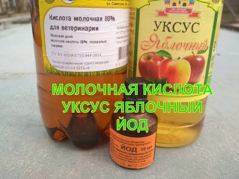 Видео: Дёшево, эффективно против кокцидиоза.#Cheap, effective against coccidiosis.