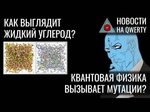 Видео: «Квантовые» мутации. Перенос генов. Жидкий углерод. Сердечный органоид. Новости QWERTY №214
