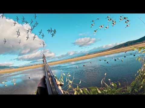 Видео: УКРЫТЫЙ в Mountain Ducks (ограниченный тираж) NONSTOP Утки в приманках