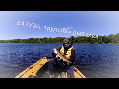 Видео: Как ловить джигом с лодки? Рыбалка с эхолотом на спиннинг "