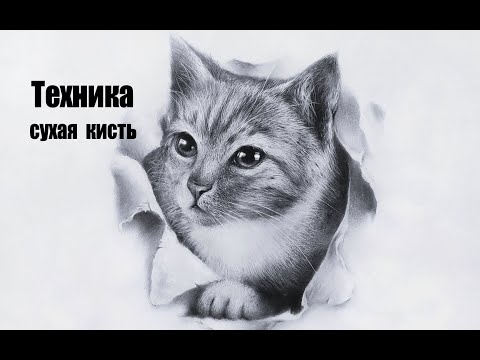 Видео: Техника сухая кисть. Рисуем котёнка. Художник Чупринов