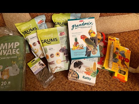 Видео: Покупки из зоомагазина для крысы, кролика и попугаев