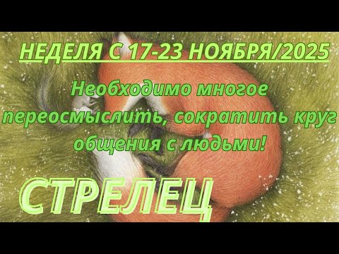 Видео: СТРЕЛЕЦ ♐️ ТАРОСКОП С 17-23 НОЯБРЯ/2025 от Alisa Belial.