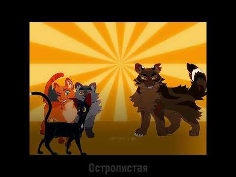 Видео: Подборка Коты Воители из тик тока#1