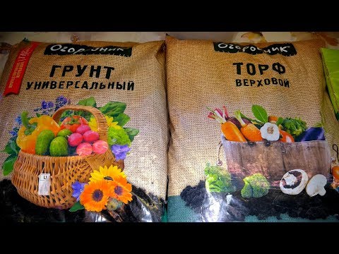 Видео: Наконец-то я его купила //  И еще кое что ...