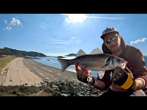 Видео: Ловля окуня на приманку на острове Херм