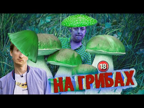 Видео: На грибах. Бампер і Сус