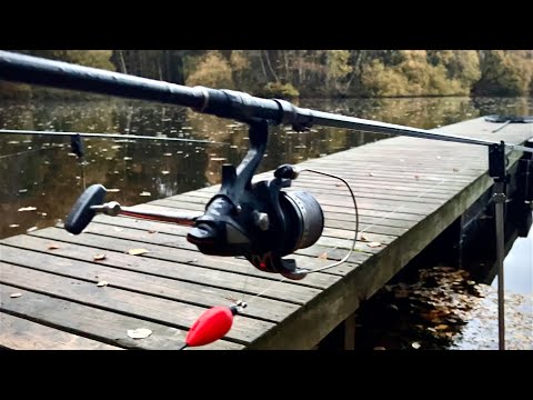 Видео: Ловля щуки. Первый видеоблог в этом сезоне.