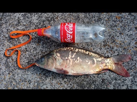 Видео: Ловля КАРПА на БУТЫЛКУ!!!