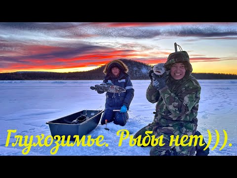 Видео: В глухозимье рыба ловится!!!  оз. Мал. Капылюши,  февраль 2023