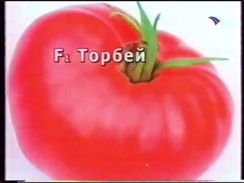 Видео: «Вести Дачник», предвыборная агитация, «Вести Погода» (ГТРК «Иртыш» [г. Омск], 01.03.2008)