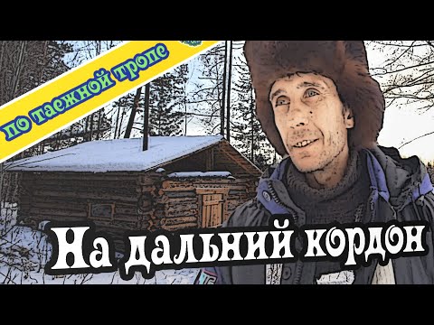 Видео: На промысле в тайге