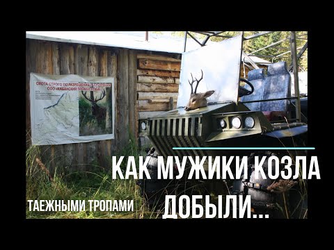 Видео: Охота на косулю в Сибири. Охота на солонцах в тайге. сезон 2022 август.