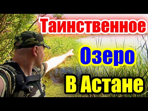 Видео: Таинственное озеро в Астане: Что скрывается в глубинах? #Рыбалка #казахстан #астана #рыбалка2023