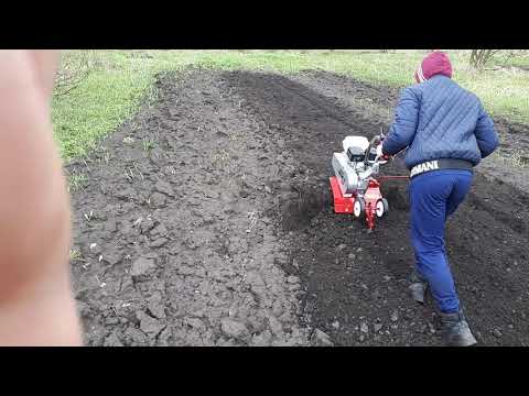 Видео: Новый мотоблок мкм-3. Первые впечатления от работы!