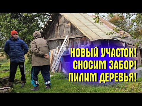 Видео: Соседка ЗАХВАТИЛА УЧАСТОК! СНОСИМ ЗАБОР! ПИЛИМ СТАРЫЕ ДЕРЕВЬЯ! Какой ДОМ СТРОИТЬ? УЧАСТОК С НУЛЯ