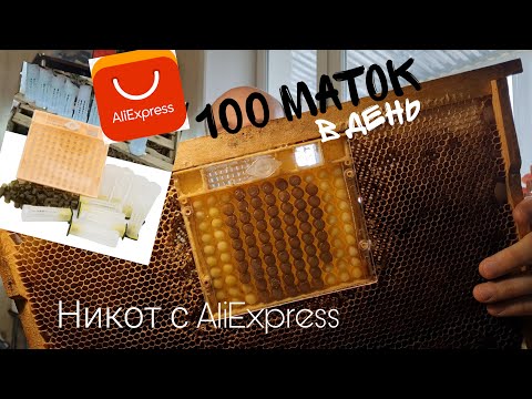 Видео: 100 Маток в день - Никот с AliExpress Доработка