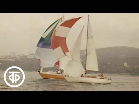 Видео: Сочинское лето (1982)