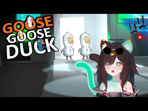 Видео: Goose Goose Duck | Гуси, утки и котята ~