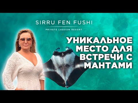 Видео: Обзор отеля SIRRU FEN FUSHI Maldives. Самый длинный бассейн, хороший снорклинг