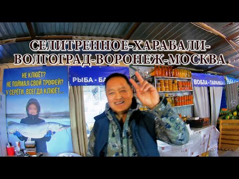 Видео: СЕЛИТРЕННОЕ ХАРАБАЛИ ВОЛГОГРАД ВОРОНЕЖ МОСКВА