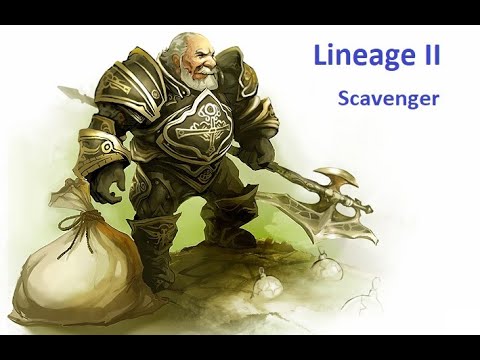 Видео: Почему стоит начинать игру в Lineage II  за Спойлера и ШЕ