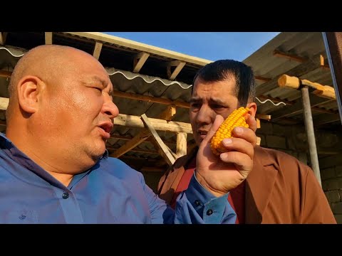 Видео: ОХУНОВ ТВ ЁППАСИГА ХАММАСИНИ АЙТИБ БЕРДИ...