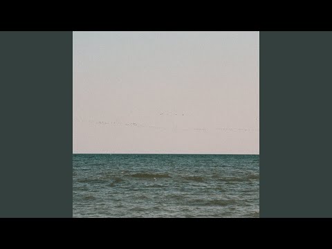 Видео: Дворы