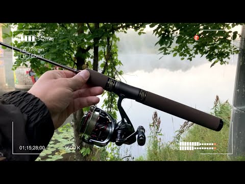 Видео: Приехал на то же место за Окунями, но что могло пойти не так?