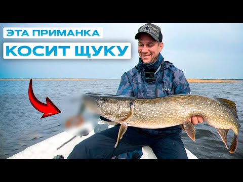 Видео: ПОСЛЕНЕРЕСТОВЫЙ ЖОР ЩУКИ! НЕ РЫБАЛКА А МЕЧТА! Щука на джиг/ратлины/большие силиконовые приманки.