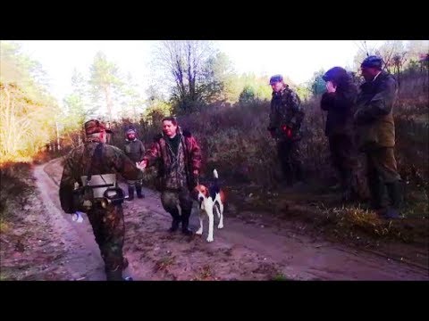 Видео: РПГ  ГОРНИСТ вл.Романов Р.П. «1-е состязания Полевых Чемпионов и Победителей»