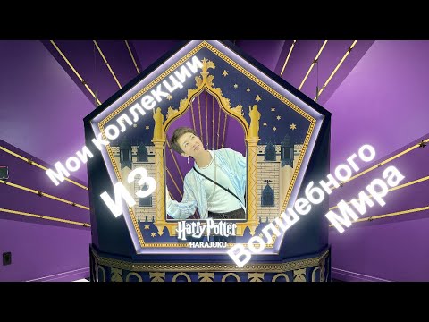 Видео: Мои коллекции Гарри Поттера 🤓⚡️коллаборации с японскими брендами🫣