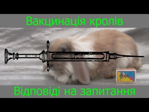 Видео: Вакцинація кролів Відповіді на запитання