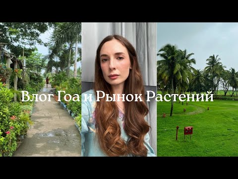 Видео: Влог Гоа и рынок растений в Калькутте