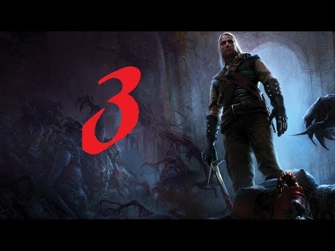 Видео: The Witcher Прохождение Серия 3 (Предместье Вызимы)