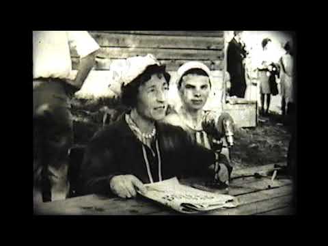 Видео: ДЕНЬ ПЕСЕН, город Вельск