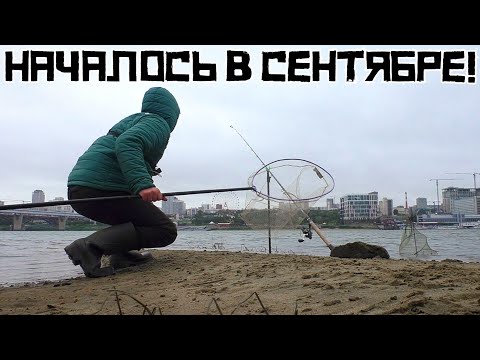 Видео: НАКОНЕЦ-ТО КРУПНЯК на ДОНКИ!!! Рыбалка в сентябре 2024 УДАЛАСЬ!