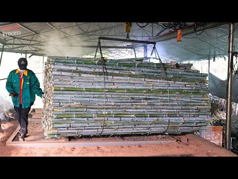 Видео: Подробный обзор процесса производства бамбукового угля на китайских предприятиях