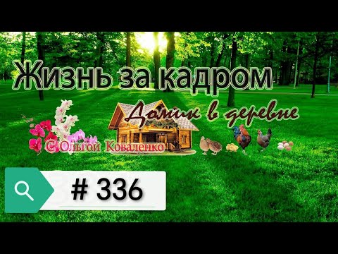 Видео: Жизнь за кадром # 336. Обзор орхидей!