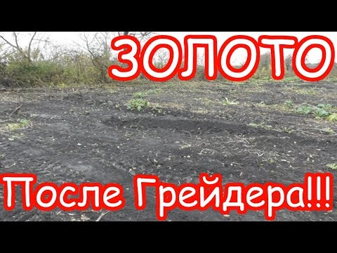 Видео: ЗОЛОТО ПОСЛЕ ПРОХОДА ГРЕЙДЕРА ПО ФУНДАМЕНТАМ!!!МНОГО МОНЕТ!!!ВОТ ЭТО ВЕЗЕТ!!!