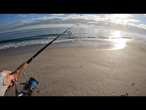 Видео: Вам не нужна большая удочка для ловли рыбы с пляжа. Рыбалка на пляже с удилищем длиной 6–7 футов.