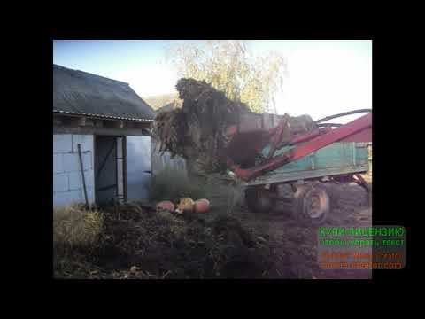 Видео: Погрузка гною