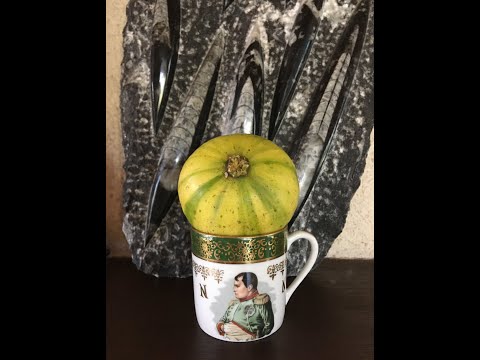 Видео: Figs. Инжир. Самоплодность Florinda. Созревающие сорта. Различие листа  Fuiri Panache и Jolly Tiger