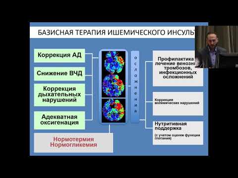 Видео: Н.А. Шамалов. Современный взгляд на базисное лечение ишемического инсульта.