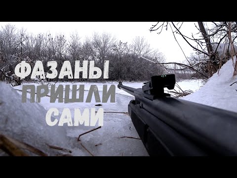 Видео: 3 ДНЯ Охоты с Пневматикой. Сменил тактику и вот она ДИЧЬ!