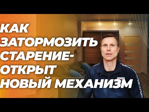 Видео: Cтало известно как клетки запасают вещество, тормозящее старение и как это улучшить.