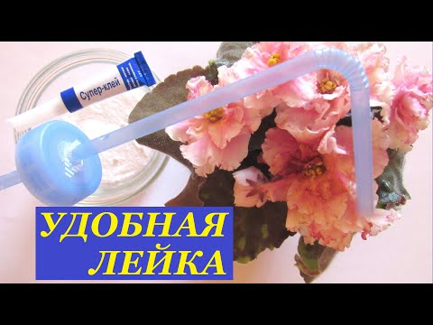 Видео: УДОБНАЯ ЛЕЙКА ДЛЯ ФИАЛОК/ ТАК ФИАЛКИ ВЫ НЕ ЗАЛЬЕТЕ‼️